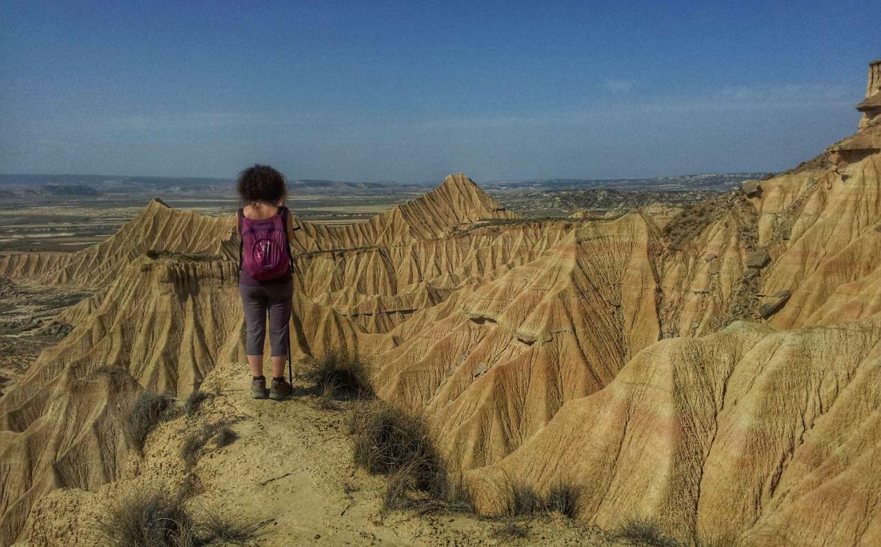 Agroturismo "La Bardena Blanca Ii" Аргедас Екстериор снимка